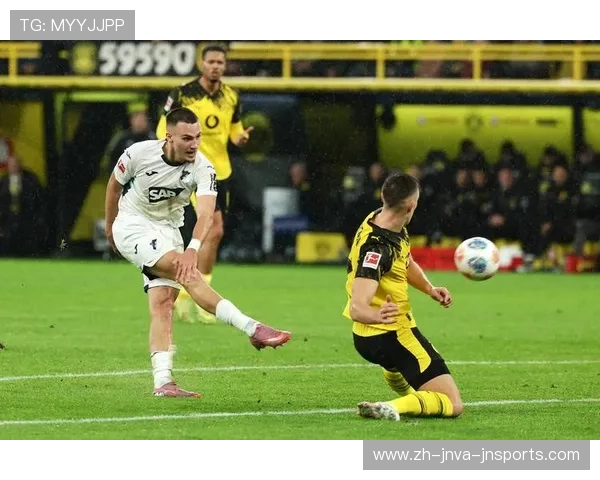 霍芬海姆德甲征程回顾与当前战绩分析